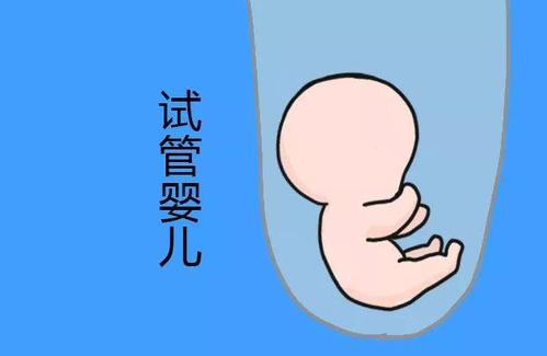 关于有偿孕妈借卵代怀咨询怎么选
